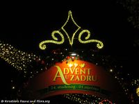 171124 10010 txt.jpg