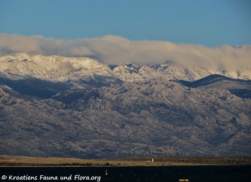 Datei:191203 2406.jpg