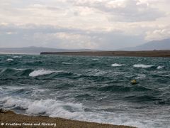 Wellen 160715 9025.jpg