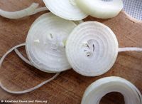 Zwiebelringe 180224 10958 txt.jpg