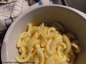 Paprika Ufo 220807 2973 k.jpg