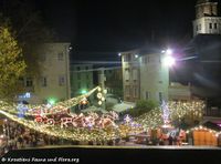 171124 10019 txt.jpg