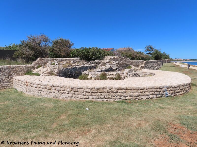 Datei:200708 1049.JPG