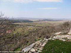 000 180328 11718.jpg