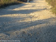 171127 10151 txt.jpg