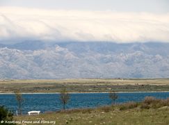 180417 12179 txt.jpg