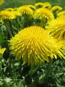 Odmorište Draganić 04/2018