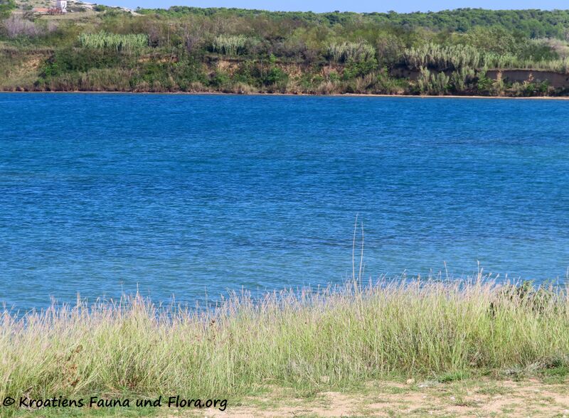 Datei:200911 1313 k.jpg