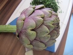 Die fleischigen Kelchblätter, Vir 04/2016