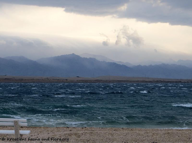 Datei:Orkanksa 170207 5715 k.jpg