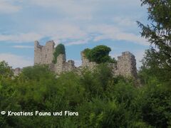 Die Westseite, 07/2023