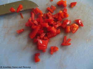 Chili 180331 11788 txt.jpg