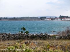 180108 10196 txt KFF.jpg