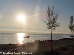 05.07.2023 – Die Morgenstunde ist doch die schönste Zeit