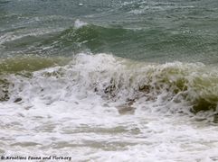 Wellen 180321 11353 txt.jpg