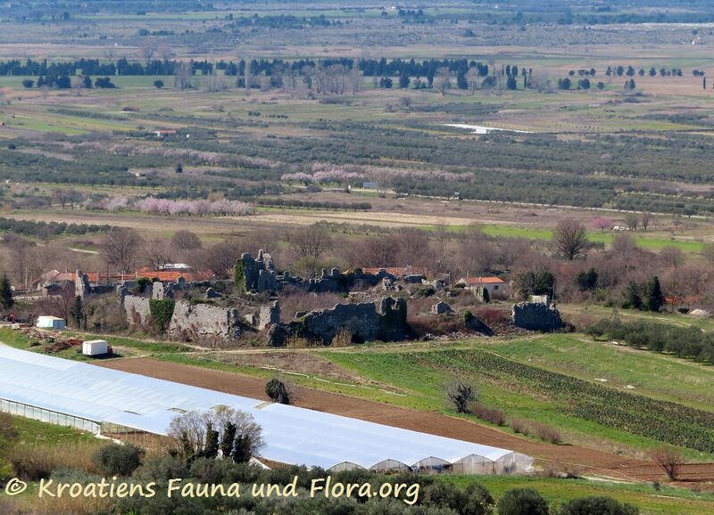 Datei:210308 1816 k.jpg