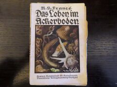 Einband mit farbiger Zeichnung des Autors