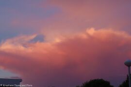 Gewitterfront im Westen