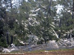 190224 0214 Zaton k.jpg