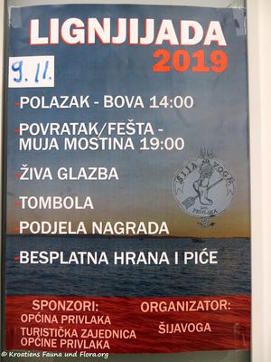 0 Programm 191109 2173.jpg