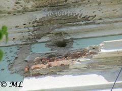 Erinnerungen an den Krieg