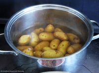 Kartoffeln 160331 8337 txt.jpg