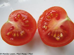 Kirschparadeiser 111224 15.jpg