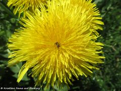 Odmorište Draganić 04/2018