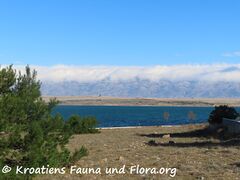 20.01.2023 - Ein wahrer Vorbereitungsmarathon