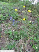 Bayern – Thalmassing 04/2012