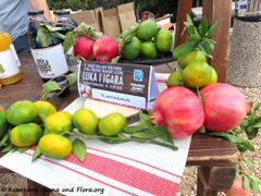 Fruchtsäfte aus Mandarinen, Mandarinen und Ingwer oder Aronija