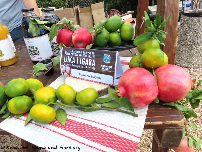 Datei:210918 2678.jpg