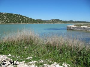 Vranasee 120616 1448.JPG