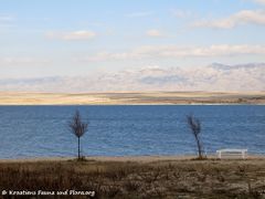 180108 10185 txt.jpg