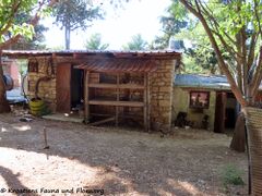 Der Schuppen mit dem Regal