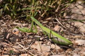 © Werner Kalopp, Krka Nationalpark 09/2018