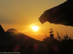 14 190703 1189 k.jpg