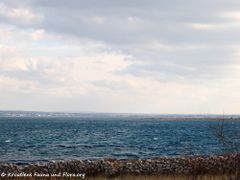 180108 10195 txt.jpg