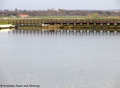 180405 11830 txt.jpg