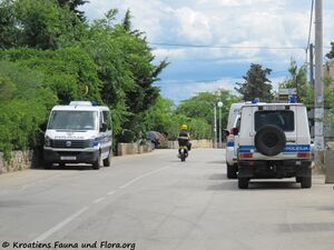 140530 3779 Vir Ribarnica Luka k.jpg