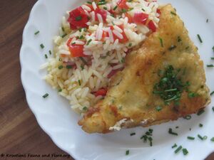 180423 12766 Dorade txt.jpg