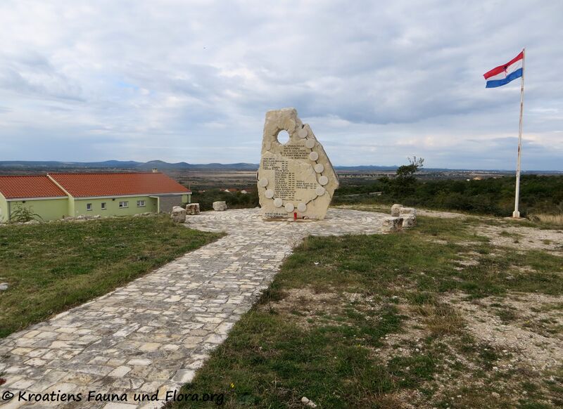 Datei:191031 1990.jpg