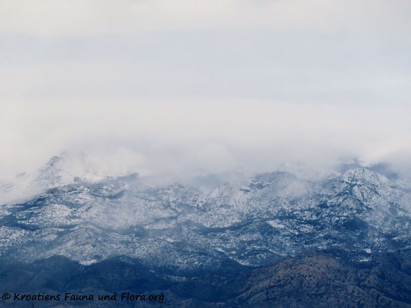 Datei:220106 31128.jpg