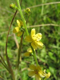 AgriEU TH 120722 654.jpg