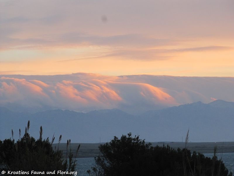 Datei:Burawalze151126 2773 Vir Abendrot.jpg