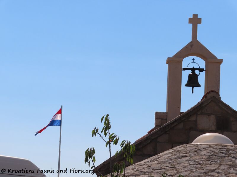 Datei:210918 2680.jpg