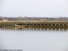 180405 11831 txt.jpg