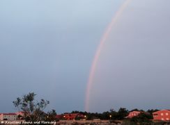 06.12.2018 Unentschieden