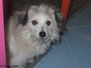 220120 3214 Puschel k.jpg