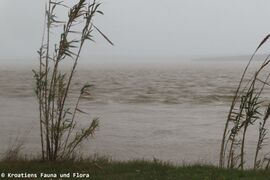 Strömung des Flusses Jaruga